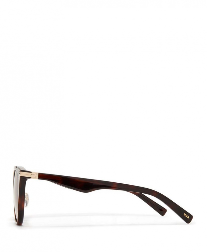 Lunette de Soleil TUMI 004 Cat Eye 52mm Marron |CFQF-27491564